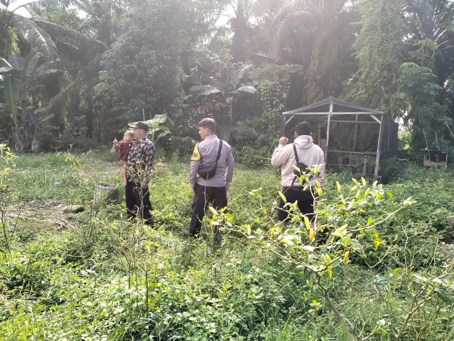 Program Ketahanan Pangan Nasional, Bhabinkamtibmas Desa Panimba Raya Temui Petani