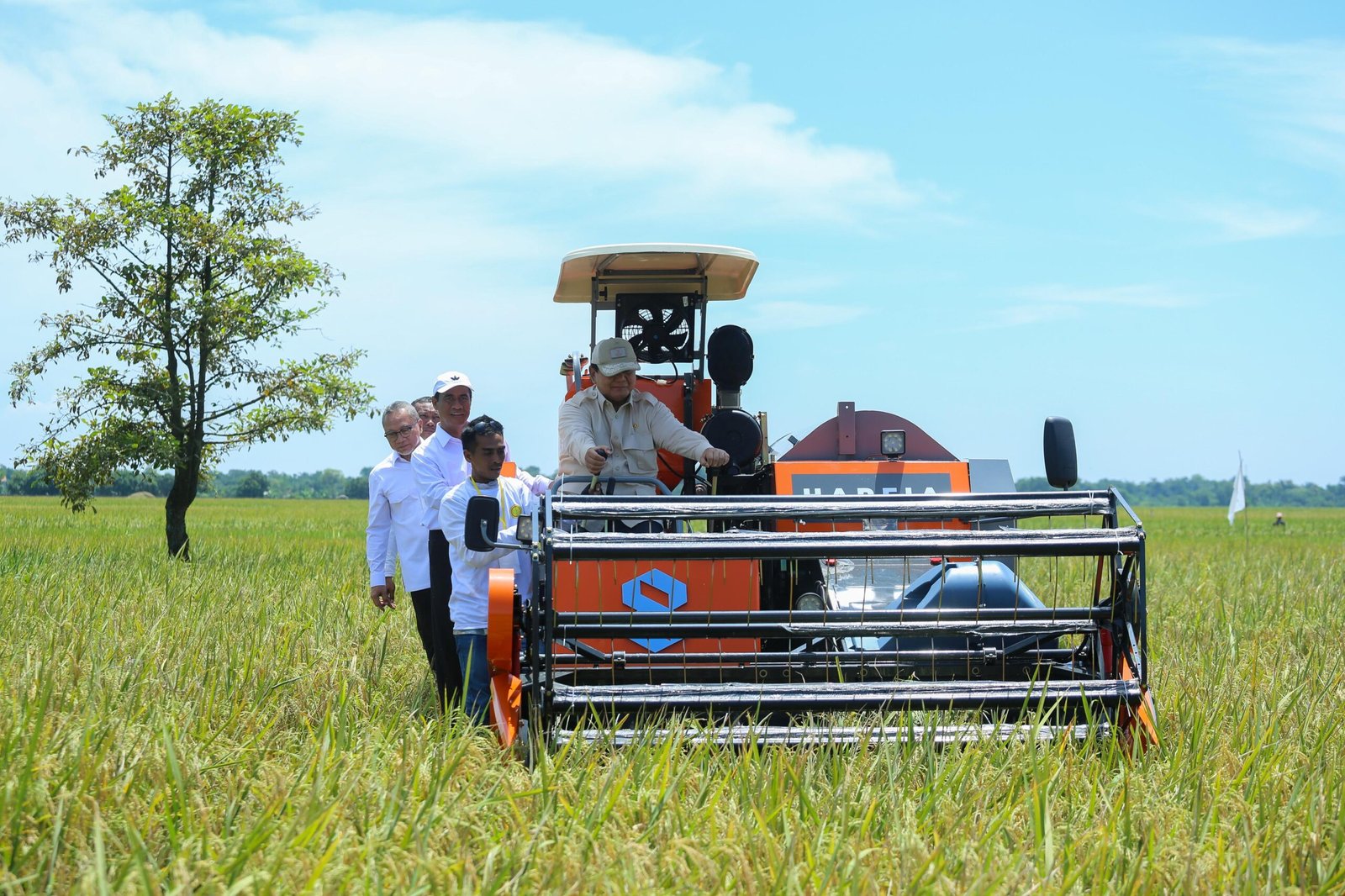 Presiden Prabowo Pimpin Panen Serentak di 14 Provinsi, Produksi Beras Tertinggi dalam 7 Tahun: Petani Adalah Pahlawan Bangsa
