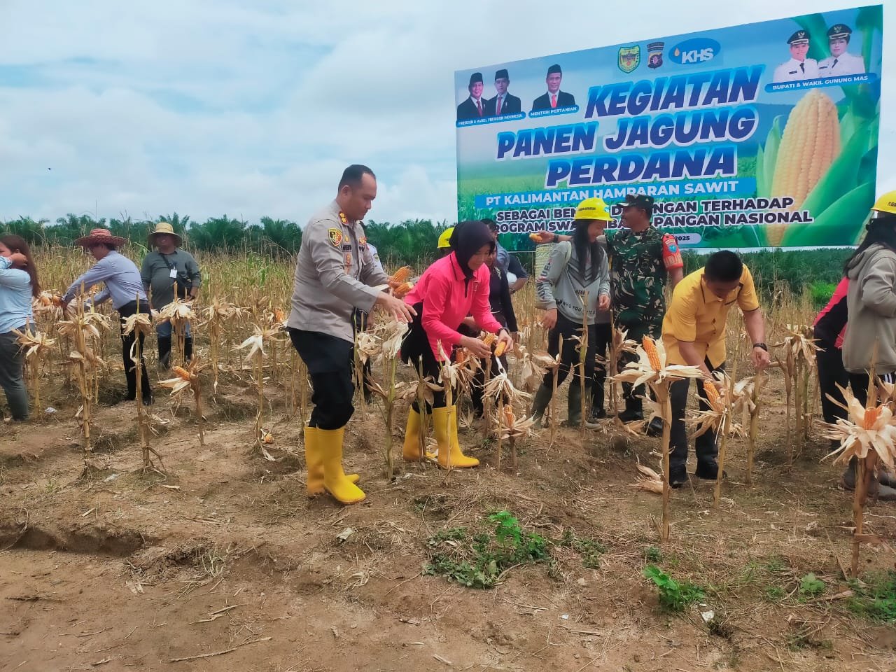 Polres Gumas Panen Tujuh Ton Jagung di Lahan Tumpang Sari