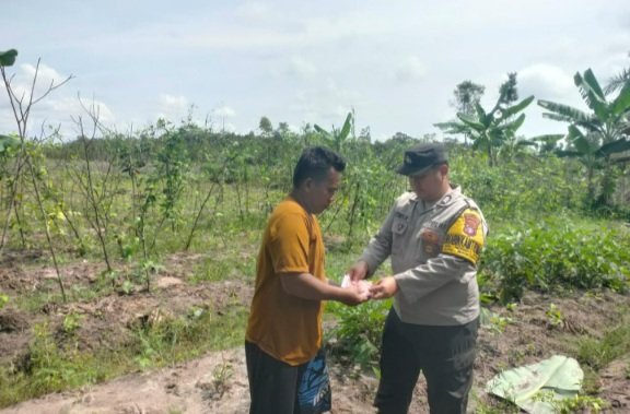 Polsek Rakumpit Salurkan Bantuan Benih Jagung Manis kepada Warga
