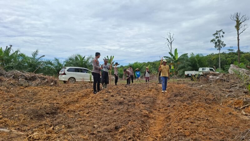 Dukung Program Ketahanan Pangan, Polisi dan Warga Tanam Jagung di Lahan Satu Hektare