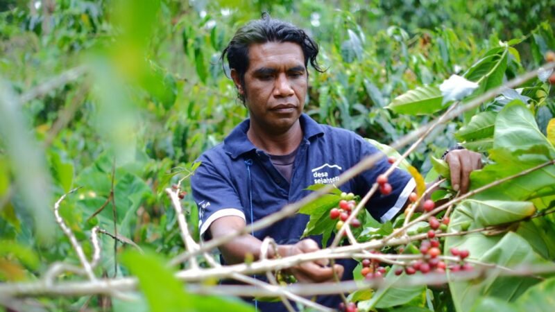 Melalui Desa Sejahtera Astra, Astra Dorong Pertumbuhan Ekonomi Berkelanjutan di Bajawa