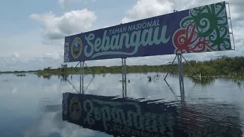 Pengelolaan Taman Nasional Sebangau Diharap Beri Manfaat Luas