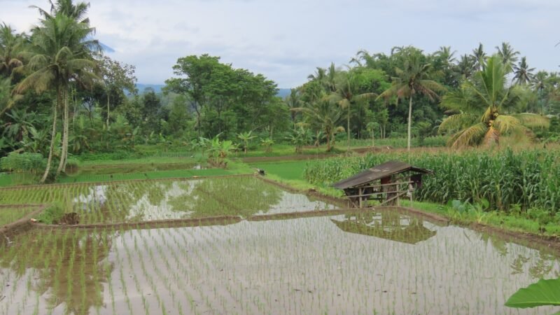 Reforma Agraria di Desa Soso Jadi Bukti Konflik Agraria Bisa Diselesaikan Tanpa Konfrontasi