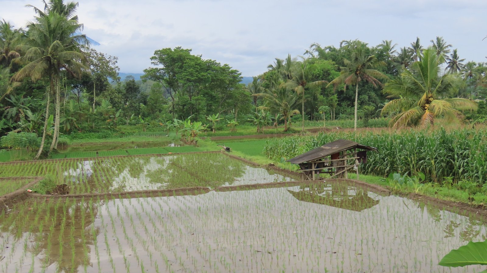 Reforma Agraria di Desa Soso Jadi Bukti Konflik Agraria Bisa Diselesaikan Tanpa Konfrontasi