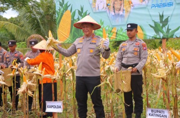 Kapolda Panen Raya Jagung Serentak Kuartal IV di Katingan, Dukung Ketahanan Pangan