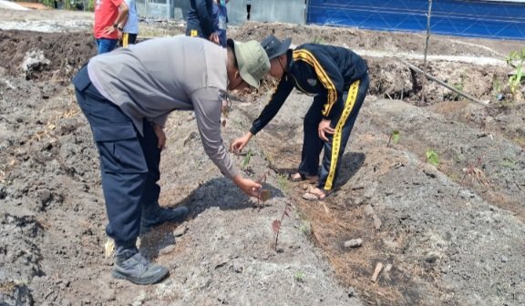Polsek Rakumpit Pantau Perkembangan Ubi Ungu di Kebun Elea Farm