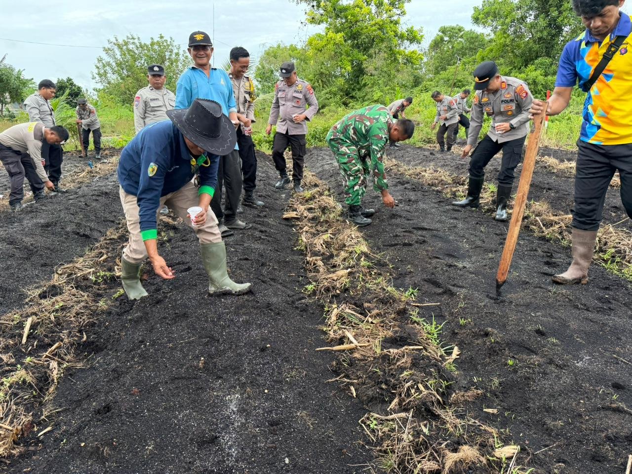 Sinergi Polri, TNI dan Warga, Lahan Produktif Jadi Lumbung Jagung di Jekan Raya
