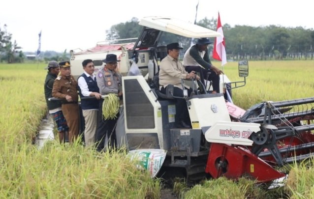 Panen Raya Demplot Padi di OPLA Pulang Pisau Bukti Komitmen Kalteng Dukung Program Ketahanan Pangan