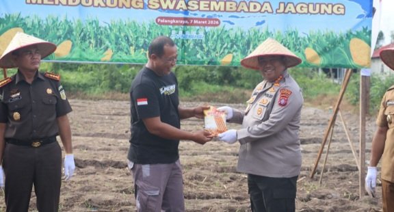 Dukung Swasembada Pangan, Kapolresta Palangka Raya Ikut Tanam Raya Jagung Serentak