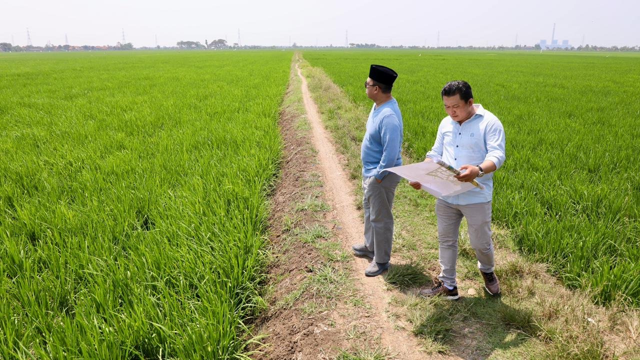 Pastikan Sawah Tetap Terlindungi, Menteri Nusron Tinjau Rencana Kawasan Industri di Indramayu