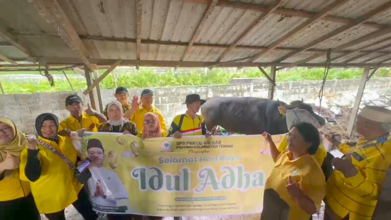Golkar Kalteng Sembelih 7 Sapi Kurban, Bagikan 1.020 Paket Daging ke Masyarakat