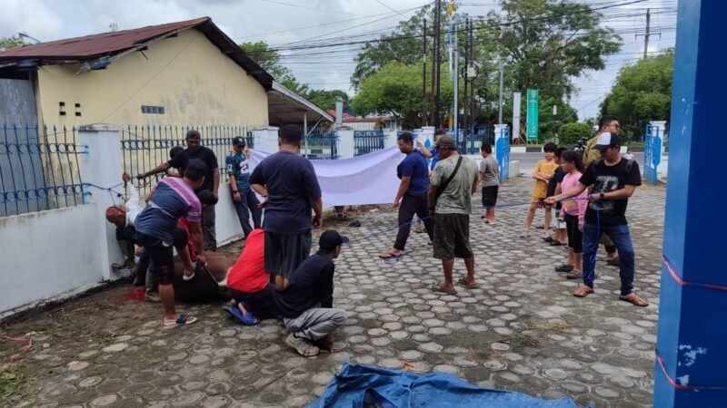Iduladha 1447 H, PWI Kalteng Sembelih 4 Ekor Sapi