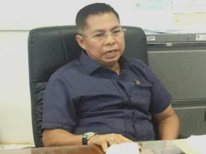 Dewan Desak Pemerintah Stabilkan Harga Sawit