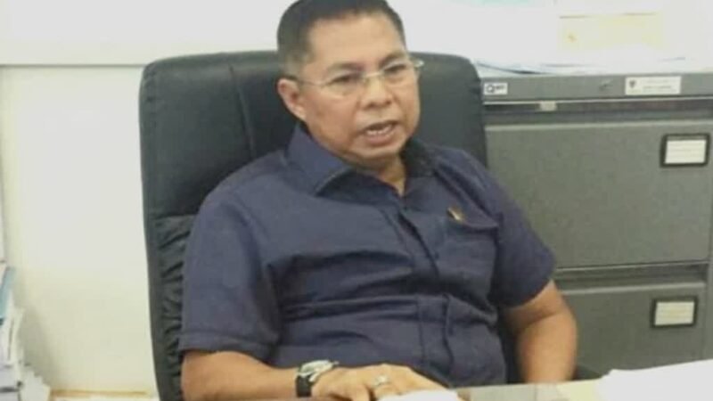 Dewan Desak Pemerintah Stabilkan Harga Sawit