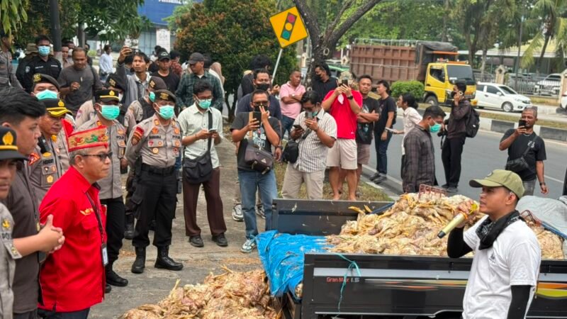 Ratusan Bangkai Ayam Dibuang di Depan Kantor PLN Palangka Raya, Bukti Kerugian Akibat Pemadaman