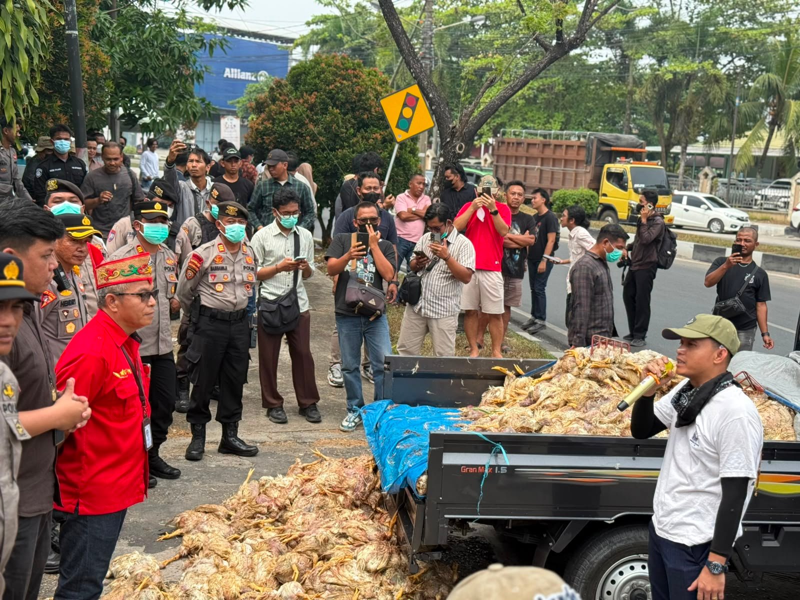 Ratusan Bangkai Ayam Dibuang di Depan Kantor PLN Palangka Raya, Bukti Kerugian Akibat Pemadaman