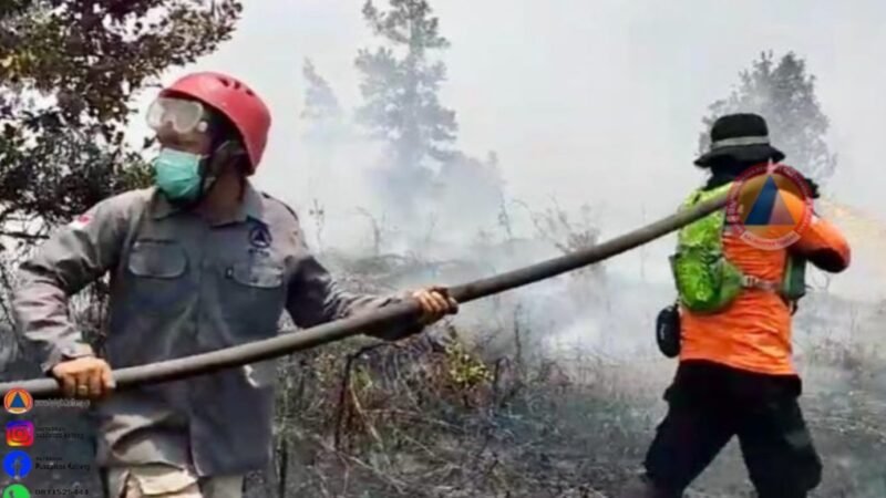Lakukan Modifikasi Cuaca Upaya Tekan Karhutla