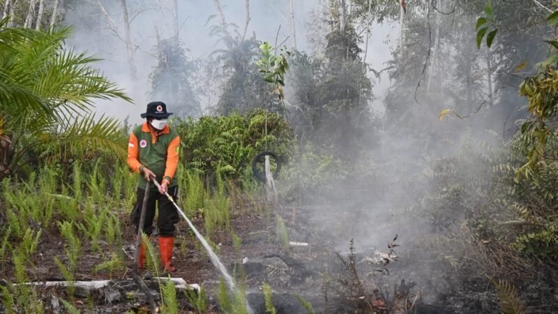 Puncak Kemarau Kalteng 2026 Diprediksi Agustus-September