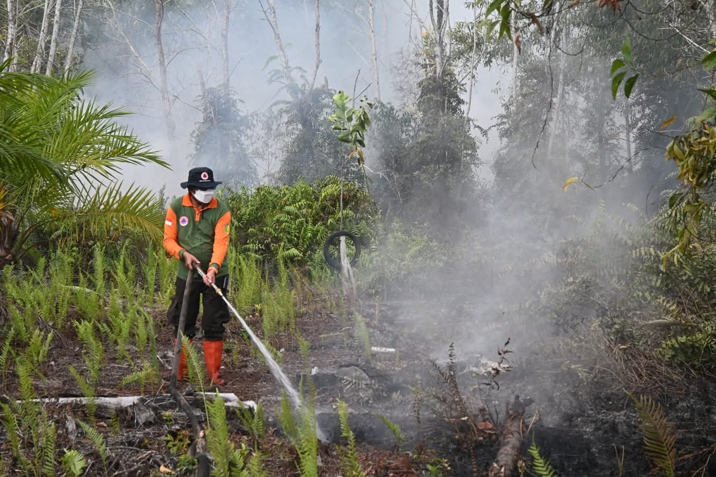 Puncak Kemarau Kalteng 2026 Diprediksi Agustus-September