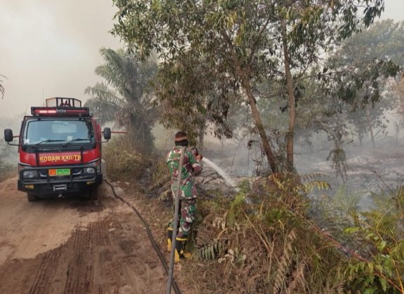 Satgas Karhutla Kodim 1016/Plk Bersama Tim Gabungan Berjibaku Padamkan Api