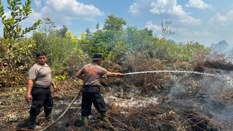 Dinsos Kalteng Kaji Dapur Umum untuk Relawan Pemadam Karhutla