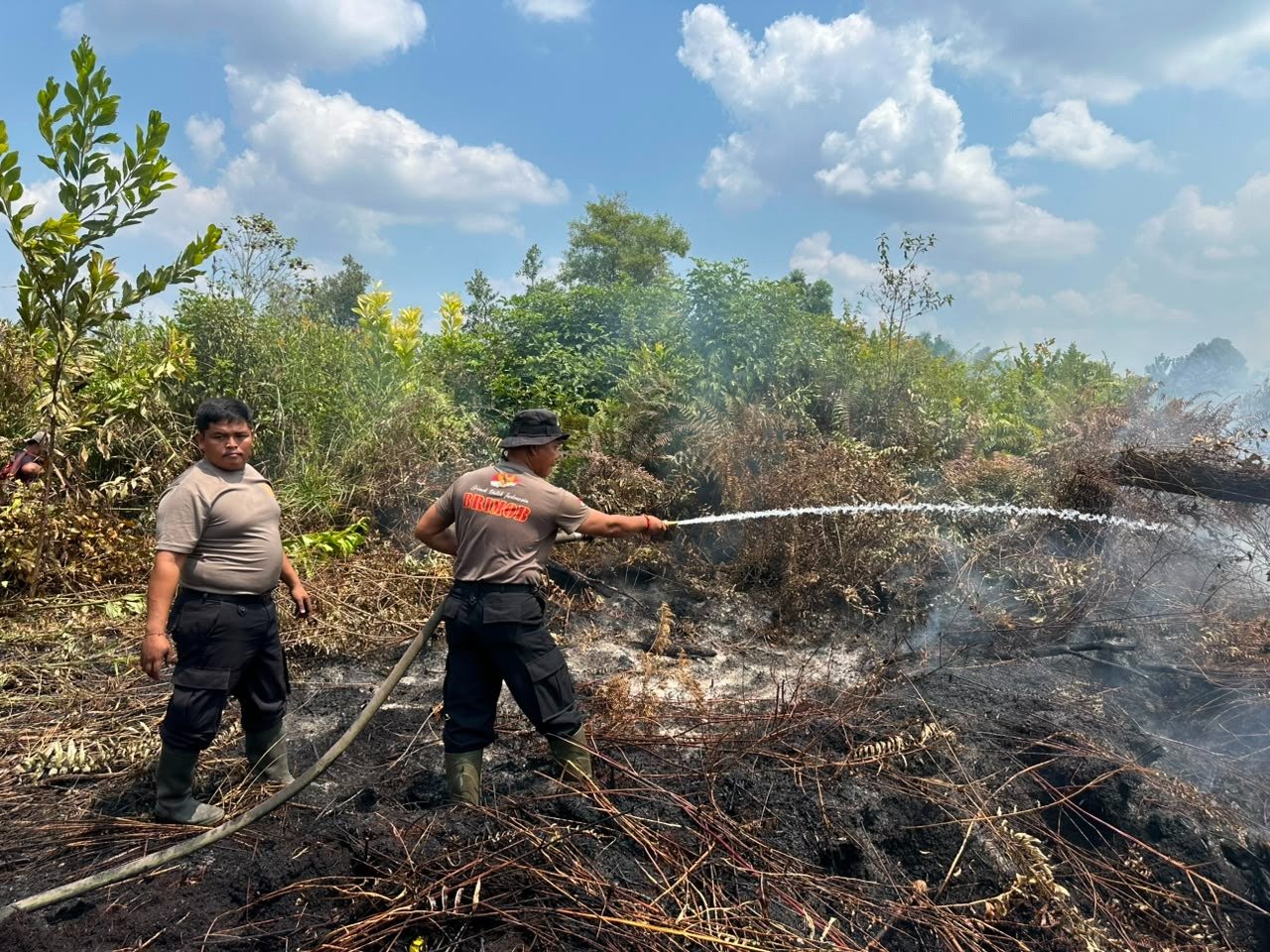 Dinsos Kalteng Kaji Dapur Umum untuk Relawan Pemadam Karhutla