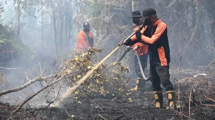 510 Kasus Karhutla Melanda Palangka Raya, 1.039 Hektare Lahan Hangus