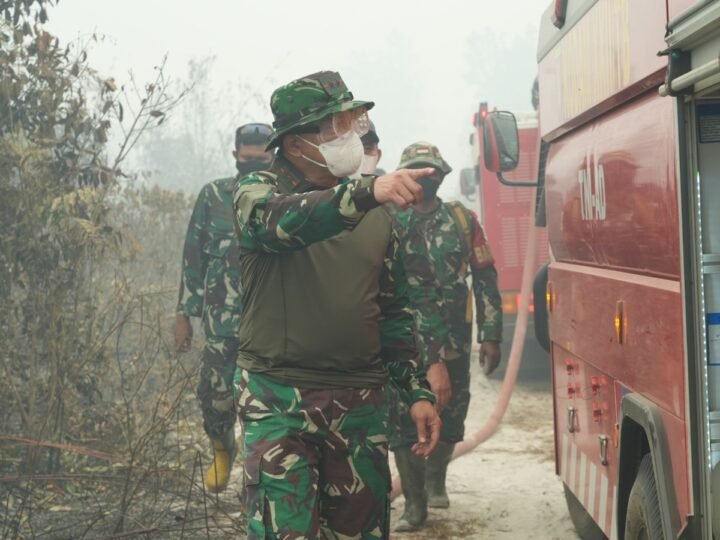 Pangdam Turun Langsung Cek Karhutla di Pulang Pisau, Warga Diimbau Waspada﻿