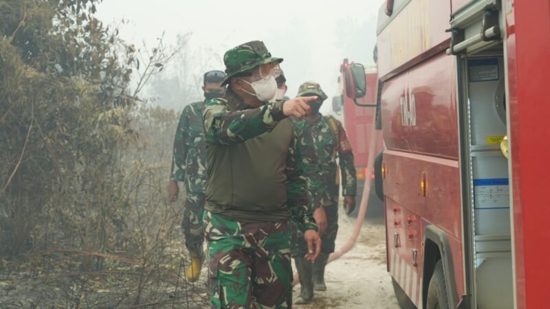Pangdam Turun Langsung Cek Karhutla di Pulang Pisau, Warga Diimbau Waspada﻿