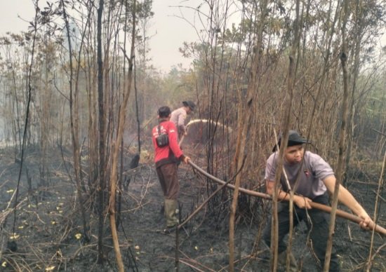 Tim Gabungan Bergerak Padamkan Karhutla di Marang