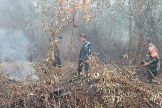 Sinergi, Kodim 1016/Plk Dukung Pemerintah Tangani Karhutla