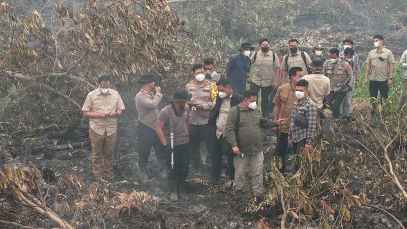 Polda Kalteng Semprot X-Fire ke Gambut, Bara Api dan Asap Berhasil Dipadamkan﻿