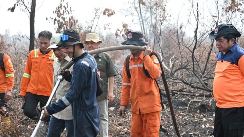 Target 2 Pekan Tuntas, Pemerintah Bentuk 36 Pokja Atasi Karhutla di Palangka Raya