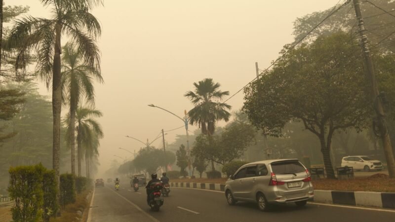 Diguyur Hujan, Palangka Raya Dapat Angin Segar di Tengah Kepungan Asap Karhutla