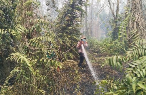Tindaklanjuti Hotspot, Polsek Sabangau Padamkan Karhutla di Jalan Misik