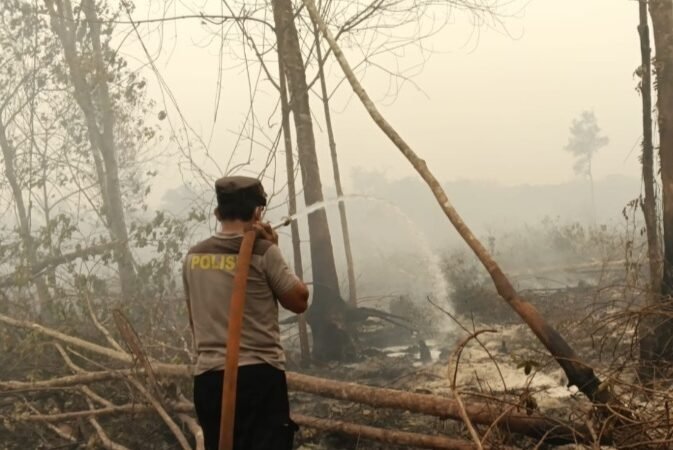 Antisipasi Api Kembali Menyala, Satgas Karhutla Lanjutkan Pendinginan di Bukit Tunggal
